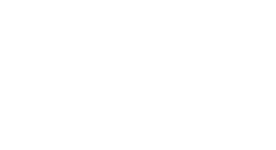 Apex Property Inspection
